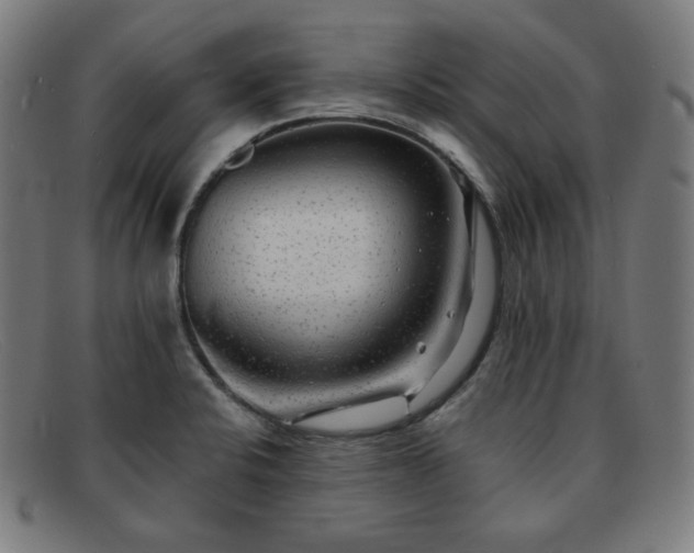 X0000091891424200709121431