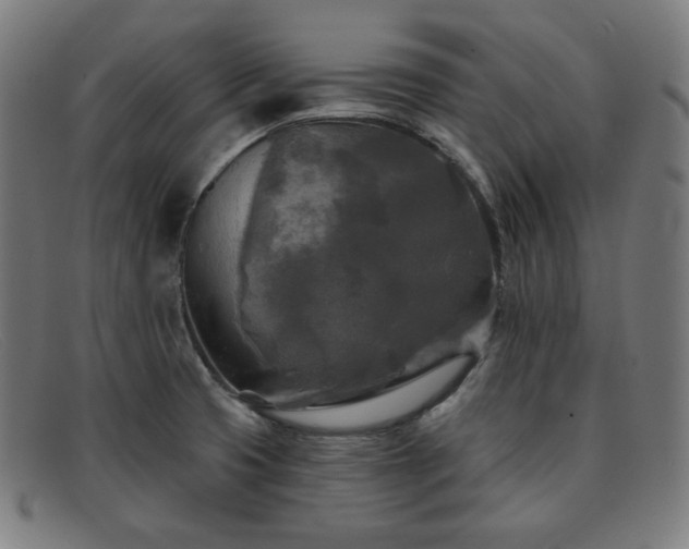 X0000091891425200709121431