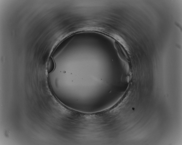 X0000091891428200709121431
