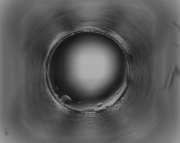 X0000091891430200709121431