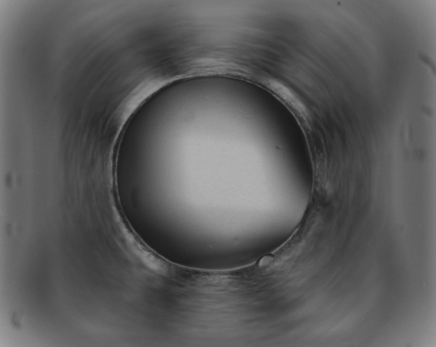 X0000091891431200709121431