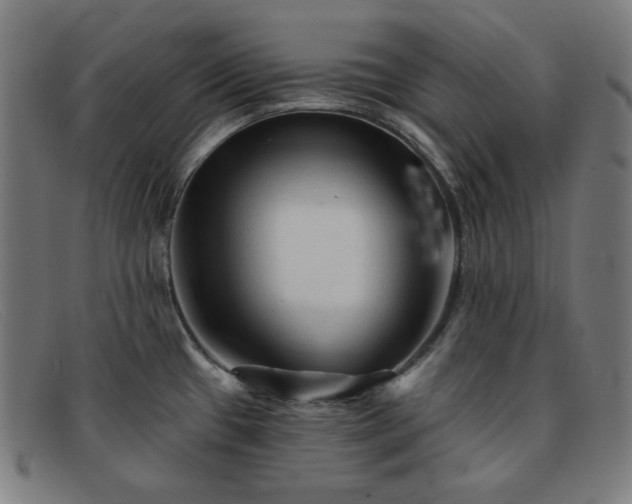 X0000091891433200709121431