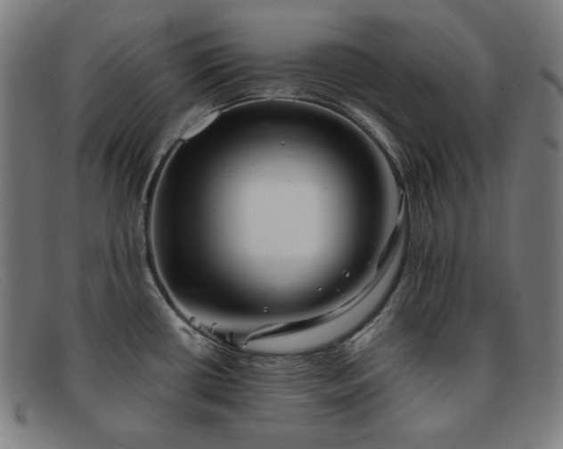 X0000091891434200709121431