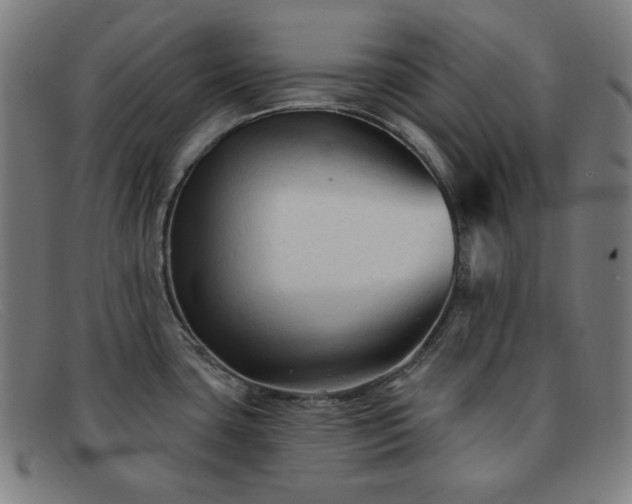 X0000091891435200709121431