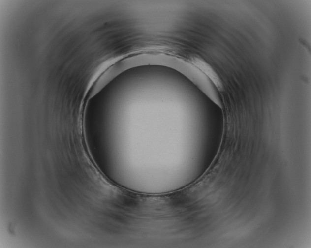 X0000091891436200709121431