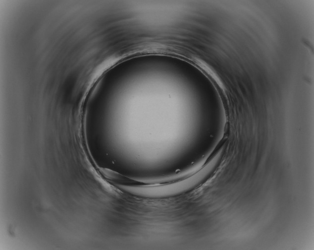 X0000091891437200709121431