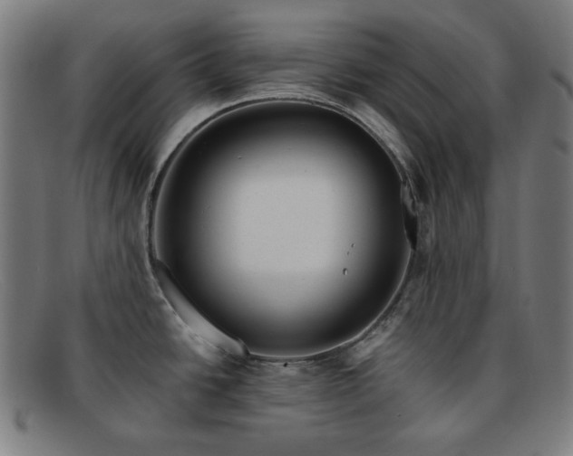 X0000091891438200709121431