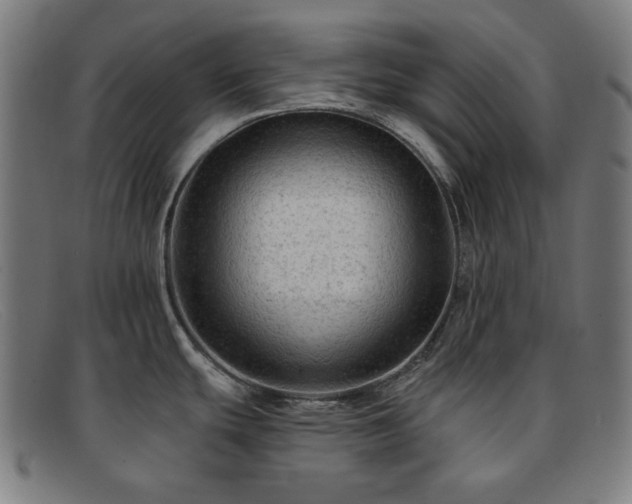 X0000091891439200709121431