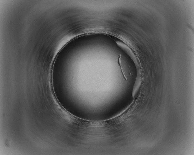 X0000091891440200709121431