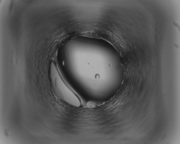 X0000091891441200709121430