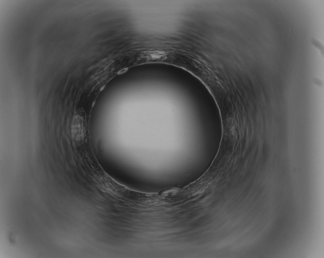 X0000091891442200709121430