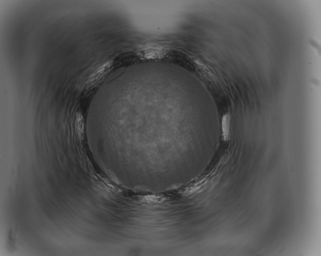 X0000091891443200709121430