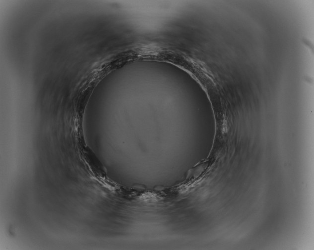 X0000091891445200709121430