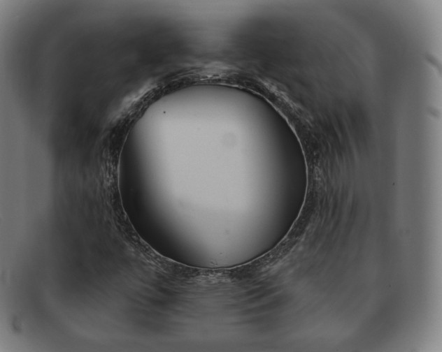 X0000091891447200709121430