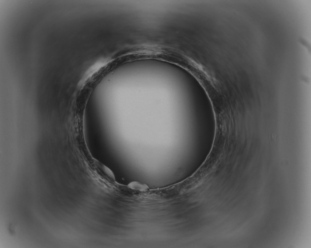 X0000091891448200709121430