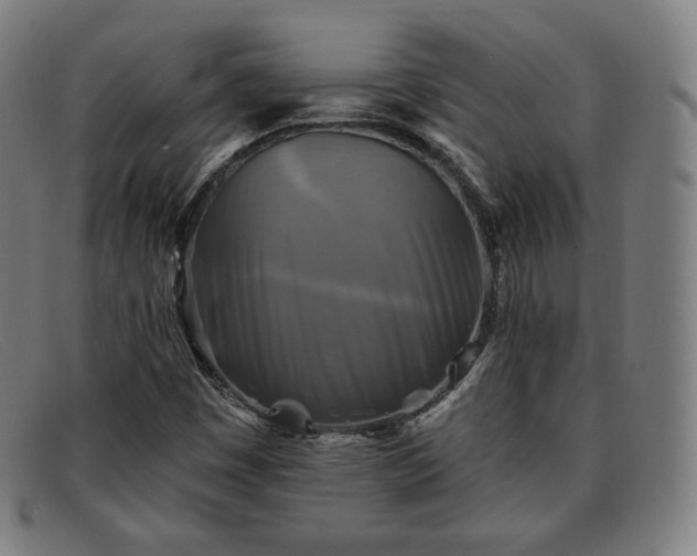 X0000091891449200709121430
