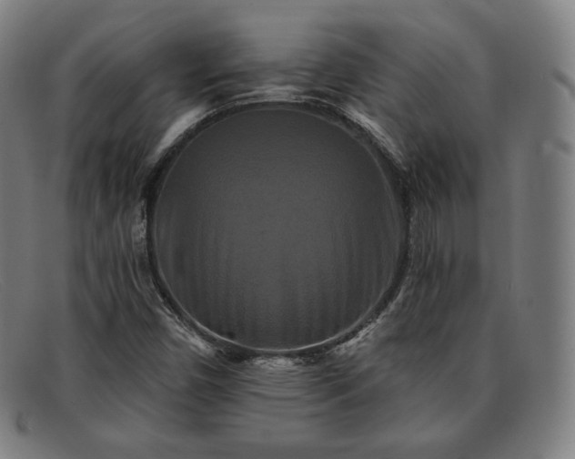 X0000091891450200709121430