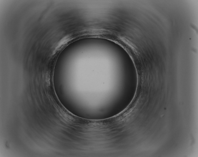 X0000091891451200709121430