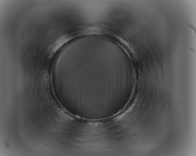 X0000091891453200709121430