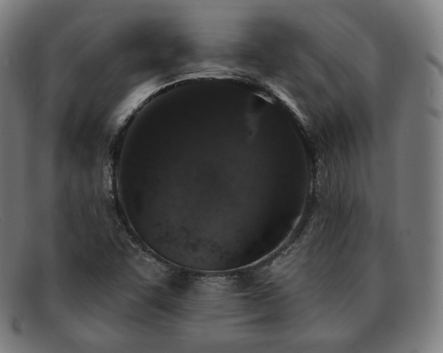 X0000091891455200709121430