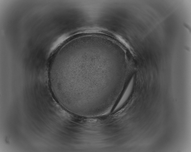 X0000091891456200709121430