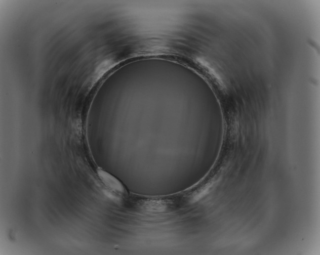 X0000091891457200709121430