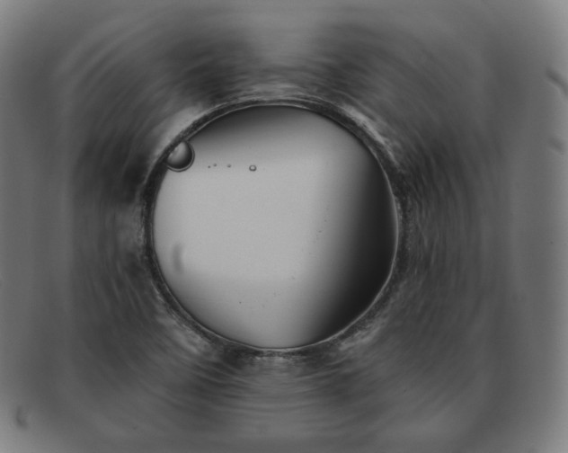 X0000091891458200709121430