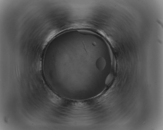 X0000091891459200709121430