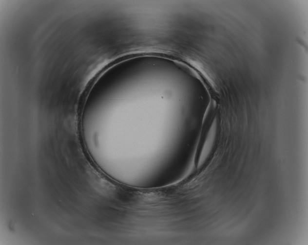 X0000091891460200709121430