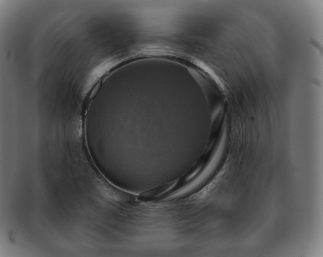 X0000091891461200709121430