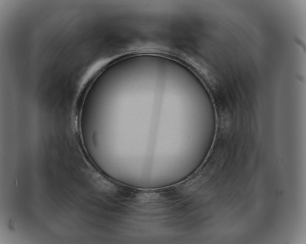 X0000091891462200709121430