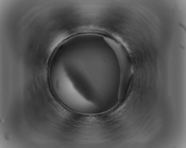 X0000091891463200709121430
