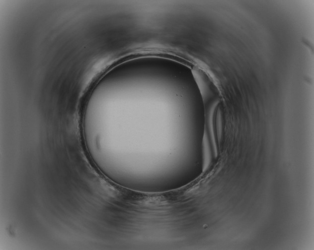 X0000091891464200709121430