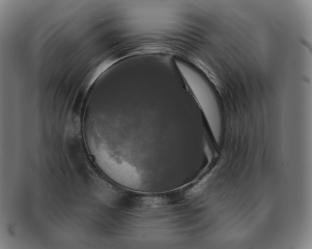 X0000091891465200709121430