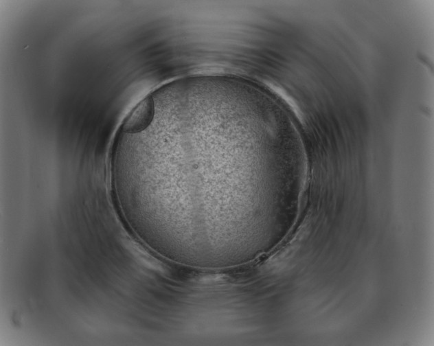 X0000091891467200709121430