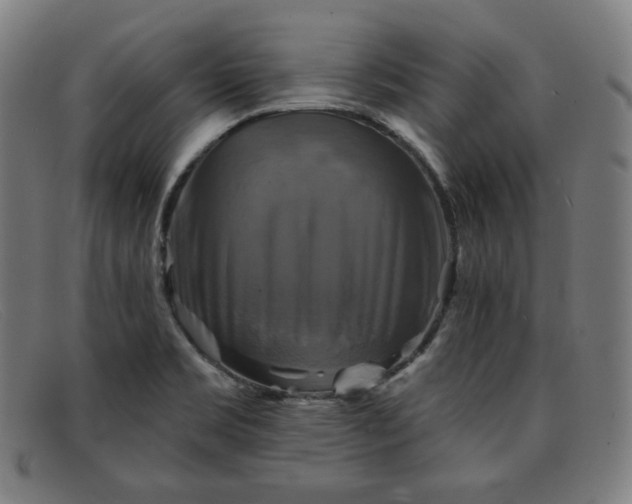 X0000091891469200709121430
