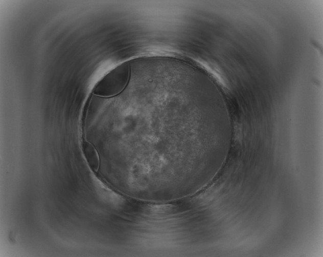 X0000091891471200709121430