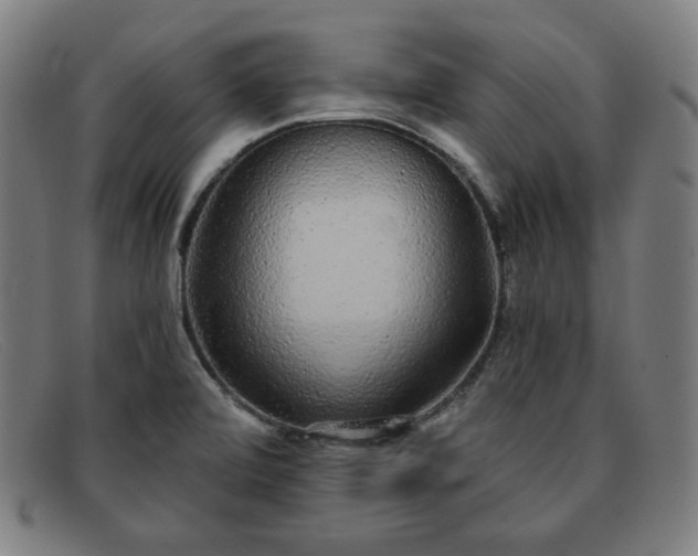 X0000091891472200709121430