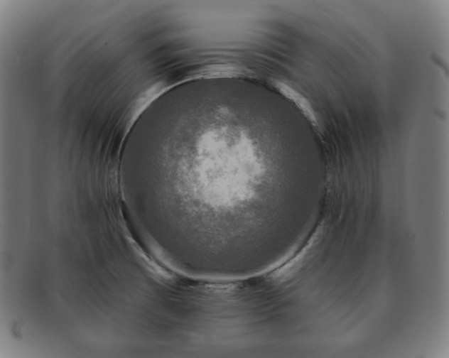 X0000091891473200709121430