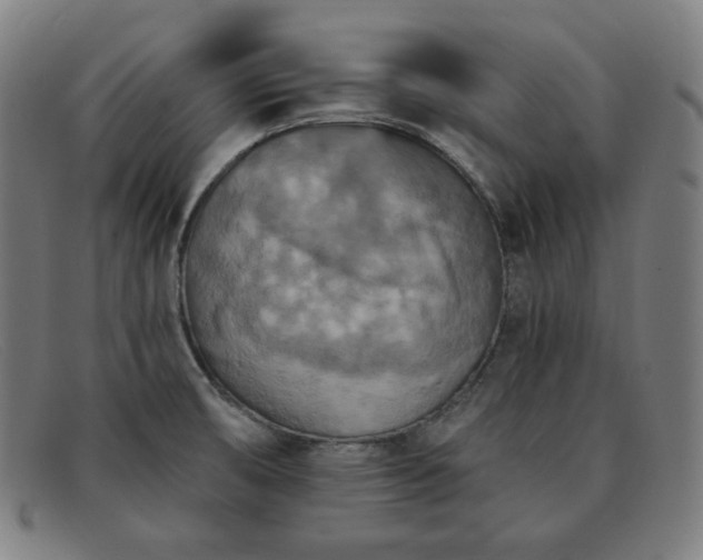 X0000091891474200709121430