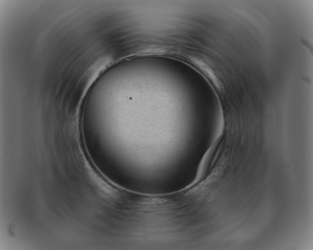 X0000091891475200709121430