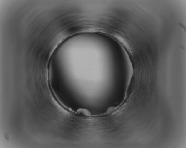 X0000091891476200709121430