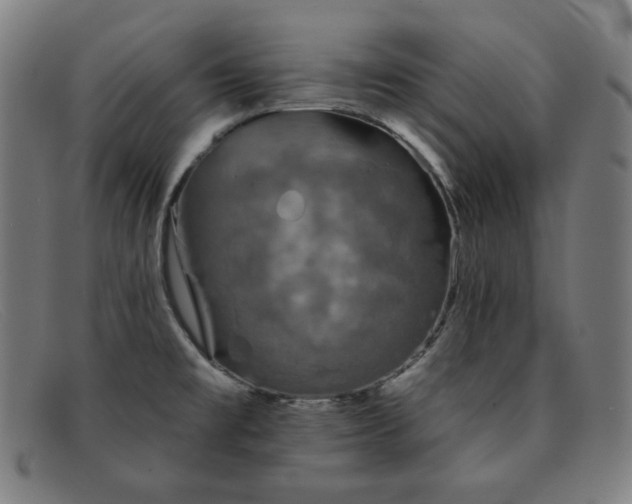 X0000091891477200709121430