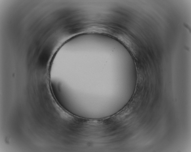 X0000091891478200709121430