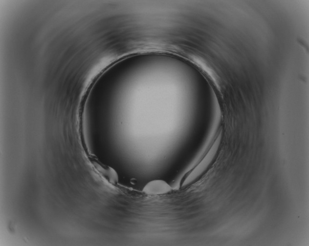 X0000091891480200709121430
