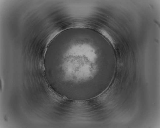 X0000091891481200709121430