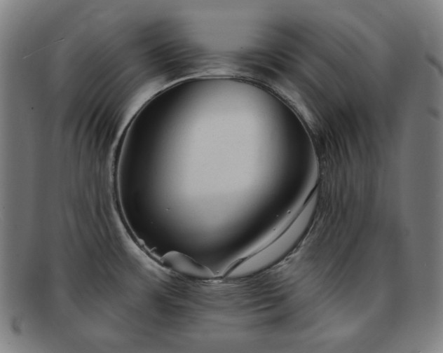X0000091891483200709121430