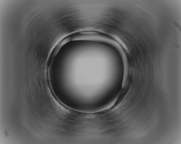 X0000091891484200709121430