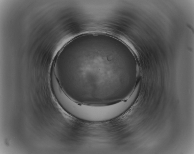 X0000091891485200709121430
