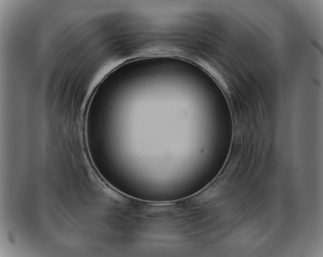 X0000091891486200709121430